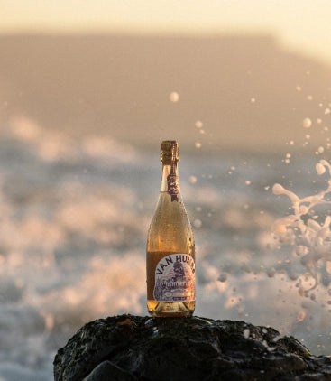 Van Hunks Cape Point